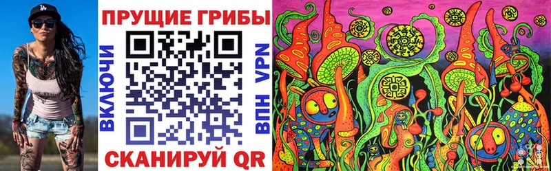 Галлюциногенные грибы Psilocybine cubensis  Купить где  Верхняя Салда 